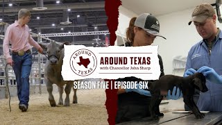 Best in Show amp Learning by Serving  Around Texas S5E6 [upl. by Ttelracs]