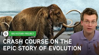 Crash Course Big History 5 The Evolutionary Epic  Big History Project [upl. by Htebi]