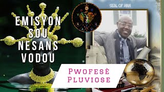 Emisyon sou nesans vodou ak Pwofesè Pluviose Vodou Haiti [upl. by Ahsenrac]