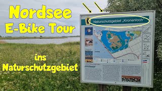 Radtour von Büsum ins Naturschutzgebiet Kronenloch  Salzwasserbiotop im Meldorfer Speicherkoog [upl. by Ylle276]