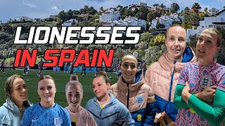 New Vlog Lionesses in Spain [upl. by Nosral]