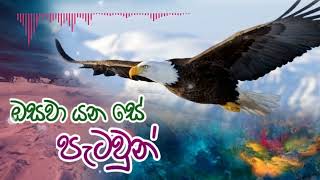 ඔසවා යන සේ පැටවුන්  Osawa Yanase Patawun  Diyoni Silva  By Faith [upl. by Sophi]