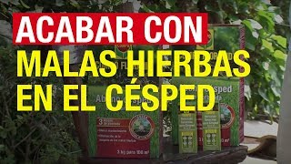 Acabar con las malas hierbas en el césped  COMPO Jardinería [upl. by Hakan]