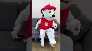 Pawpatrol foot disconnected shorts pawpatrol reallife [upl. by Milan569]