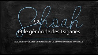 Terminale  La Shoah et le génocide des Tsiganes [upl. by Jaynes]