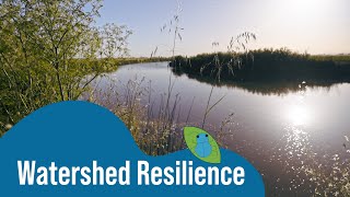 Watershed Resilience with Riparian Restoration [upl. by Atikram45]