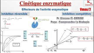 Séance 11  Effecteurs de l’activité enzymatique  Inhibition compétitive [upl. by Omor]