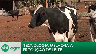 SBT Agro 010724 Produtores de leite buscam novas tecnologias para melhorar produção [upl. by Mamie]