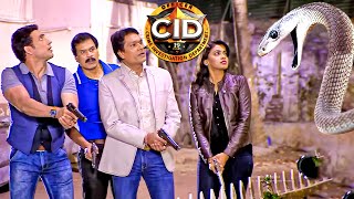 CID টিমের সামনে এল কালিয়া নাগ  সিআইডি CID  bengali crime series 2024 [upl. by Chem]