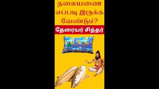 தலையணை எப்படி இருக்க வேண்டும் தேரையர் சித்தர் shorts [upl. by Rehtae733]