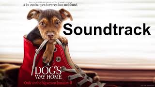 A DOGS WAY HOME  Official Trailer Theme Soundtrack [upl. by Crispin]