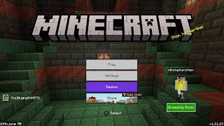 I play Minecraft [upl. by Kit]