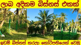 Land selling business sinhala  broker in sri lanka  How to business idea [upl. by Durgy]