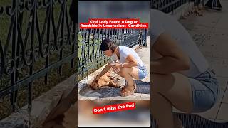 Big Act of Kindness by a Lady Rescued the Injured Dog shorts pets [upl. by Ammadas]