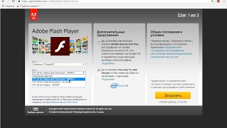 Опасности бесплатного flash player [upl. by Annaig615]