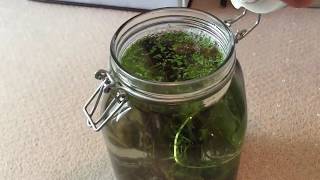 Finally Building an EcosphereJarrarium  A Sealed Ecosystem in a Jar [upl. by Fulvia]