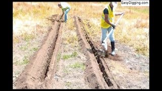 The Race Bottom Digger versus a Trenching Shovel [upl. by Alleda298]