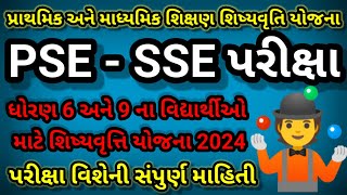 PSE  SSE exam 2024shreeji classesપ્રાથમિક અને માધ્યમિક શિક્ષણ શિષ્યવૃત્તિ યોજનાviral [upl. by Ninnette]