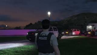 GTA 5 PC RDE LSPDFR 5 [upl. by Ecinej]