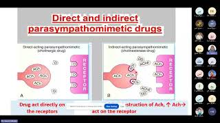 Parasympathomimetics Medicine [upl. by Argile282]