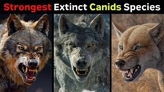 10 Most Powerful Extinct Canid Species [upl. by Karrah71]