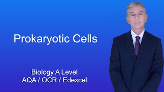 A Level Biology Revision quotProkaryotic Cellsquot [upl. by Anderer396]