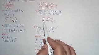 Bacterial Appendages  Pili Or Fimbriae  Flagella  Class 11 [upl. by Erdah]