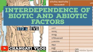 STD 4 biotic and abiotic factors in the ecosystem [upl. by Anitsuga]