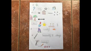 Talk for Writing  Map Tales How to write a letter with generalisers EYFS amp KS1 [upl. by Nnylekoorb]