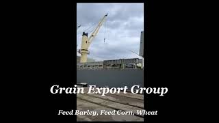 Grains bulk vessel loading Wheat Feed Barley Feed Corn [upl. by Boarer470]