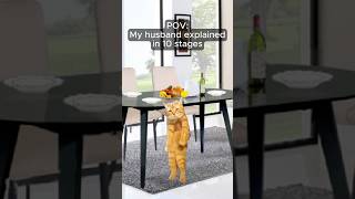 CAT MEMES 🐱 My husband explained in 10 stages catmemes relatable relationship [upl. by Yesiad]