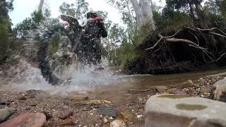 Crossing the Aberfeldy River Eaton Track with Lachie Jono and MrWiretap Billy Smith [upl. by Quin]