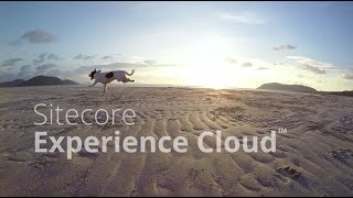 Sitecore Experience Cloud [upl. by Fritzie873]