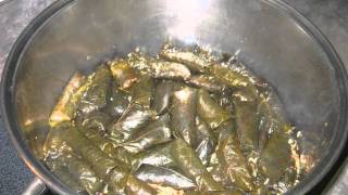 Moms Chaldean Dolma  Cooking Recipe  How to make The Best Stuffed Grape Leaves on Planet Earth [upl. by Holofernes]