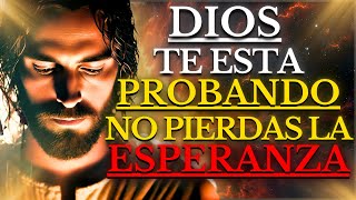 NO PIERDAS LA ESPERANZA DIOS TE ESTÁ PREPARANDO PARA ALGO GRANDIOSO TEN FE y CONFÍA EN SU PALABRA [upl. by Nagek]