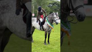 WORKING HUNTER CHAMPIONSHIP  98th Annual Connemara Pony Show connemarapony ireland pony [upl. by Mirabelle]