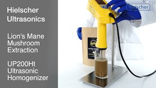 Lions Mane Mushroom Extraction using an Ultrasonic Homogenizer UP200Ht [upl. by Eaves]