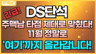 DS단석 긴급 주맥남 타점 제대로 맞췄다 11월 정말로 여기까지 올라갑니다 [upl. by Barina]