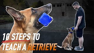 Get the Perfect Retrieve Every Time 10 Expert Tips for Training Your Dog [upl. by Adiaroz]