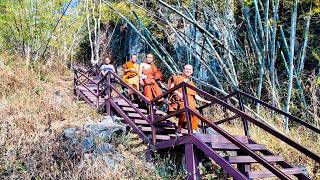 High Mountain Temple Wat Chaloem Phra Kiat A Motorcycle amp Hiking Trip Lampang Province Thailand 4K [upl. by Ilyse907]