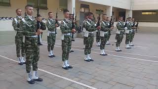 Guardia de honor del batallon policia militar 4 s [upl. by Lindly]