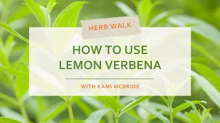 Lemon Verbena Health Benefits and Uses [upl. by Enerual912]