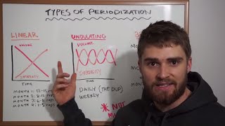 What Is Periodization LINEAR DUP BLOCK EXPLAINED [upl. by Aubert]