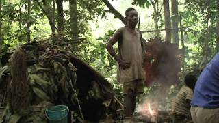 BaAka pygmy music dance and camp atmosphere Central African Republic [upl. by Bear]