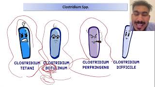 S4 L2 Some Examples of Nosocomial Infections [upl. by Emylee]