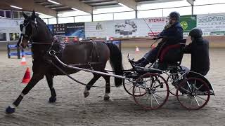 Fahrturnier GronauEpe Sicon Cup 1732024 [upl. by Stubstad]