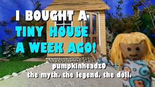 Pumpkinhead Gets a YouTube Studio  Episode 8  Pumpkinheads Tiny Home [upl. by Inanuah]