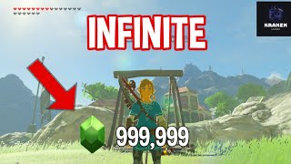 How To Do The Infinite Rupee Glitch 2024  The Legend of Zelda Breath of The Wild [upl. by Ani]