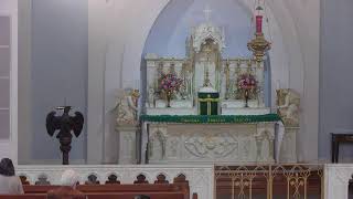 Thursday 8 AM Latin Mass for 11072024 [upl. by Enos]