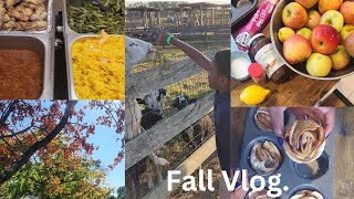 SAHM VLOG Apple picking at the farm  new recipes  Christian open mic night vlog family recipe [upl. by Adnirak430]